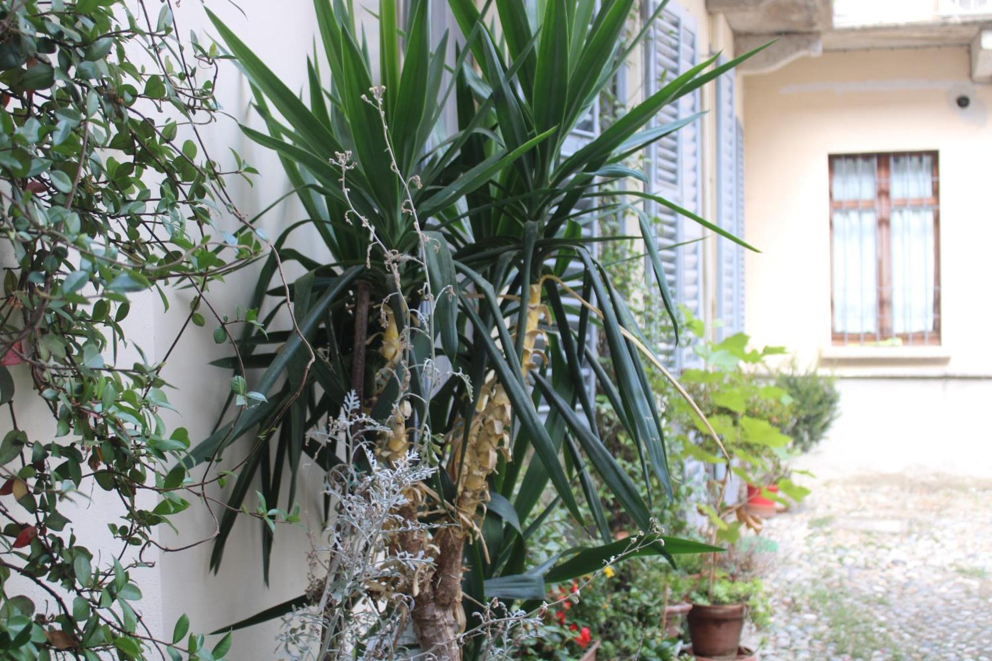 Dimora Boezio7, Cozy And Charming Place In Center With Private Parking Casa vacanze Pavia